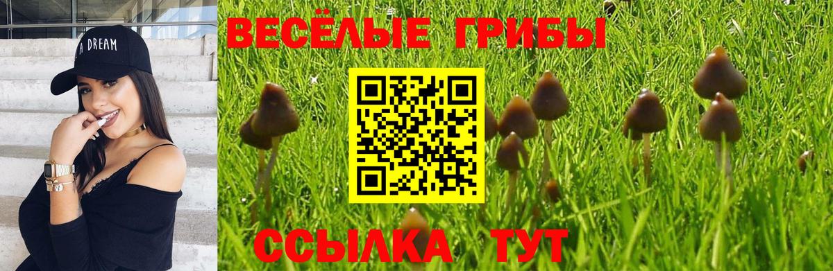 Псилоцибиновые грибы прущие грибы Екатеринбург