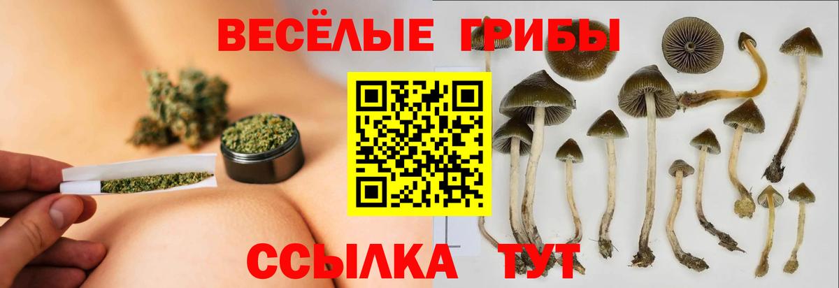 Галлюциногенные грибы Psilocybine cubensis  Вход с VPN  Екатеринбург  Псилоцибиновые грибы прущие грибы 